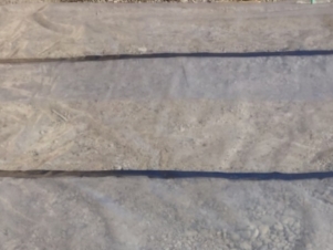 �ɼ�������