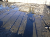 ����α��