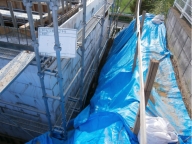 ���Ȳ���