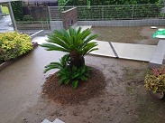 ŷ (1)before